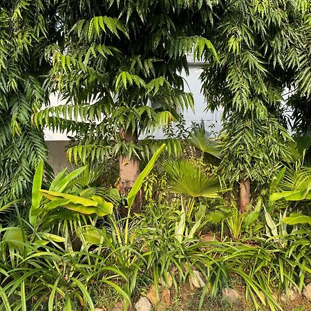 The Bougainvillea Cottage Farmstay Near Dehradun , 2 Bedroom Private Cottage Next To Fields And Orchards With Hill Views エクステリア 写真