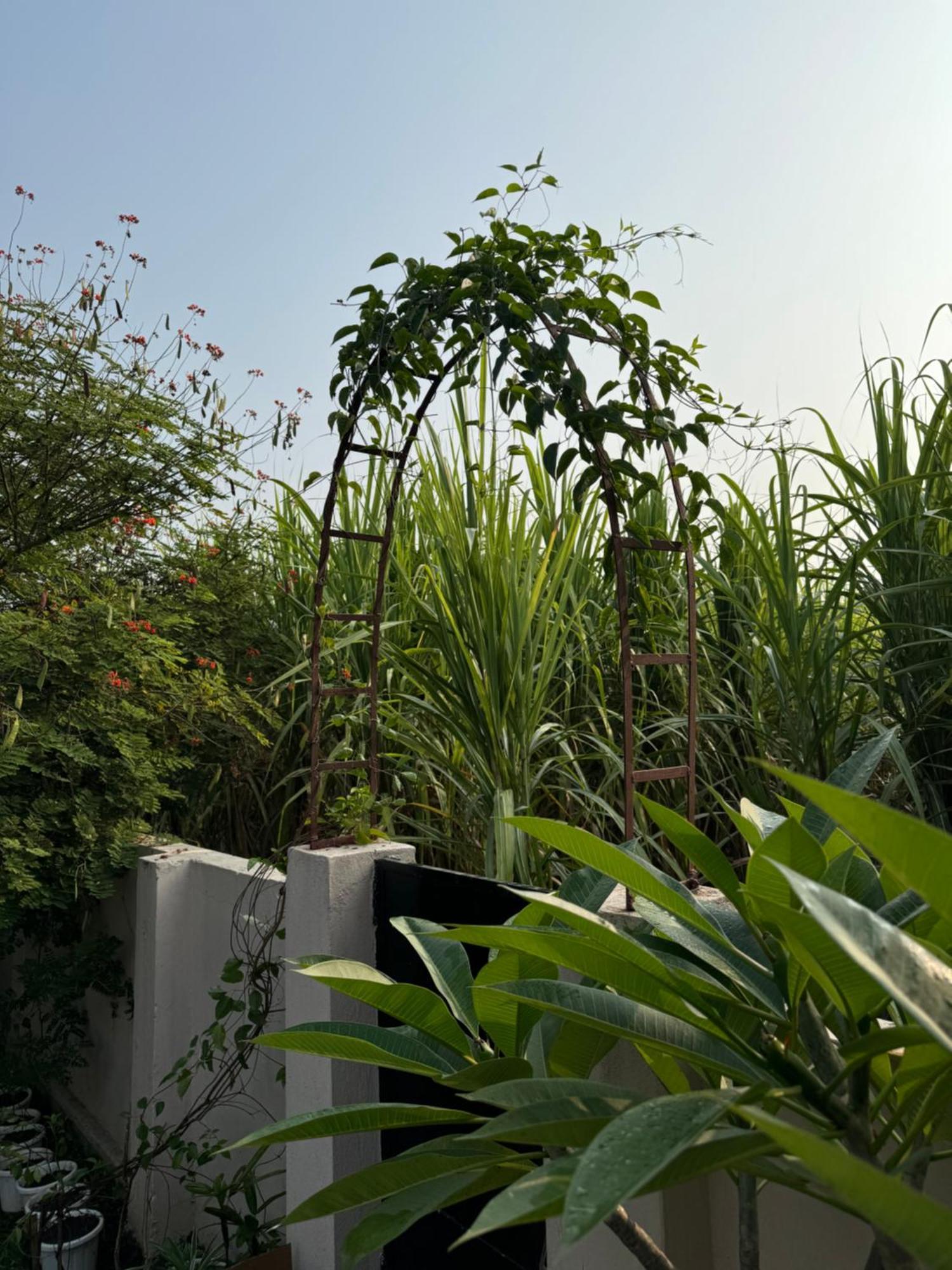 The Bougainvillea Cottage Farmstay Near Dehradun , 2 Bedroom Private Cottage Next To Fields And Orchards With Hill Views エクステリア 写真