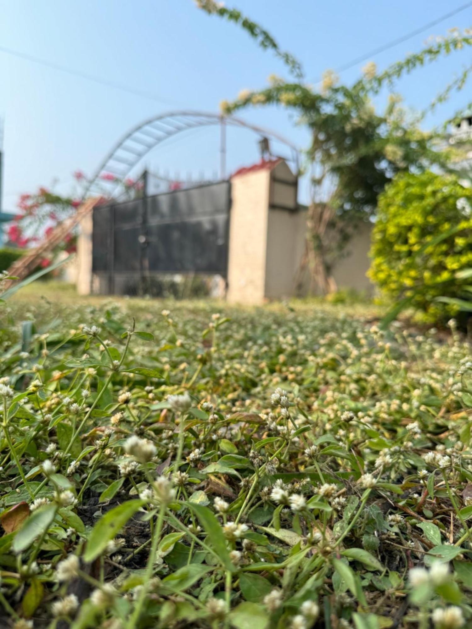 The Bougainvillea Cottage Farmstay Near Dehradun , 2 Bedroom Private Cottage Next To Fields And Orchards With Hill Views エクステリア 写真